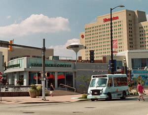 The Little Blue Jitney